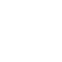 Application for Pilot